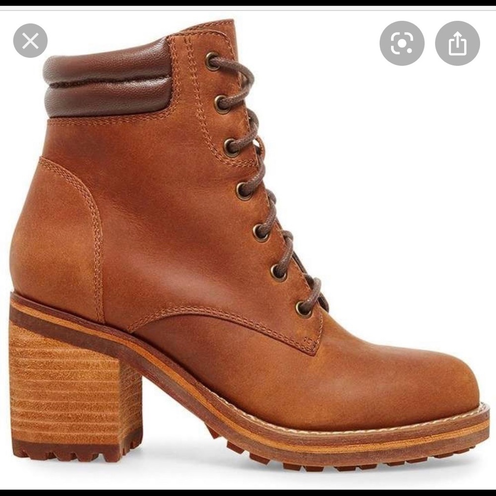 Steve Madden cognac booties
